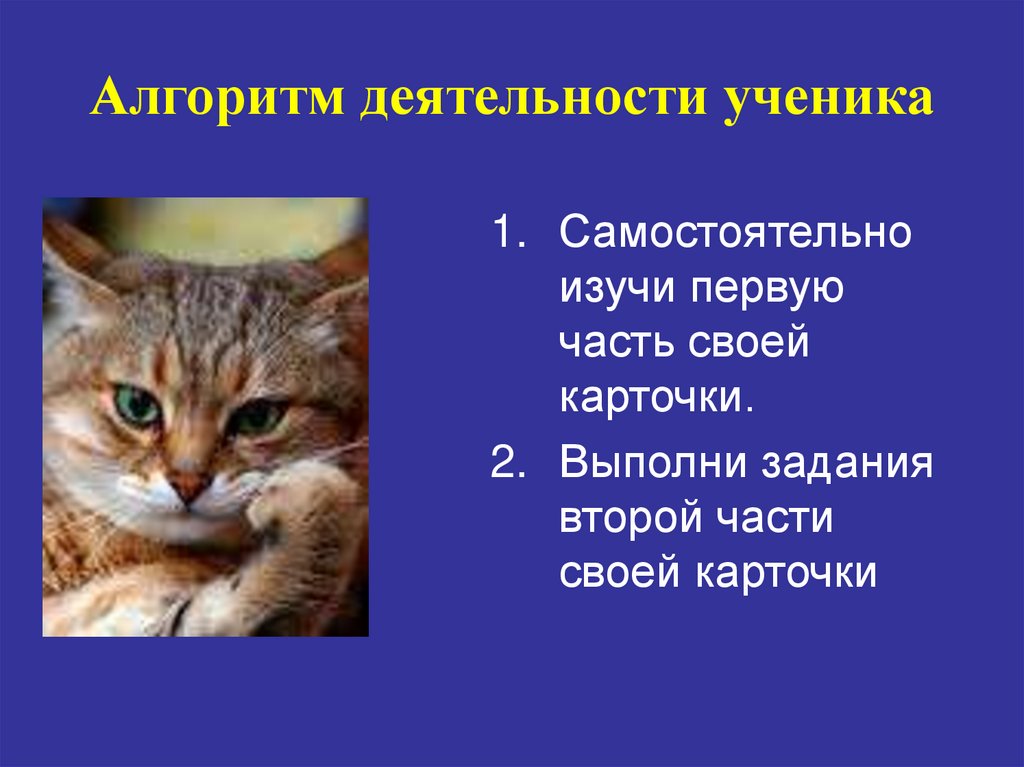 Алгоритм деятельности ученика