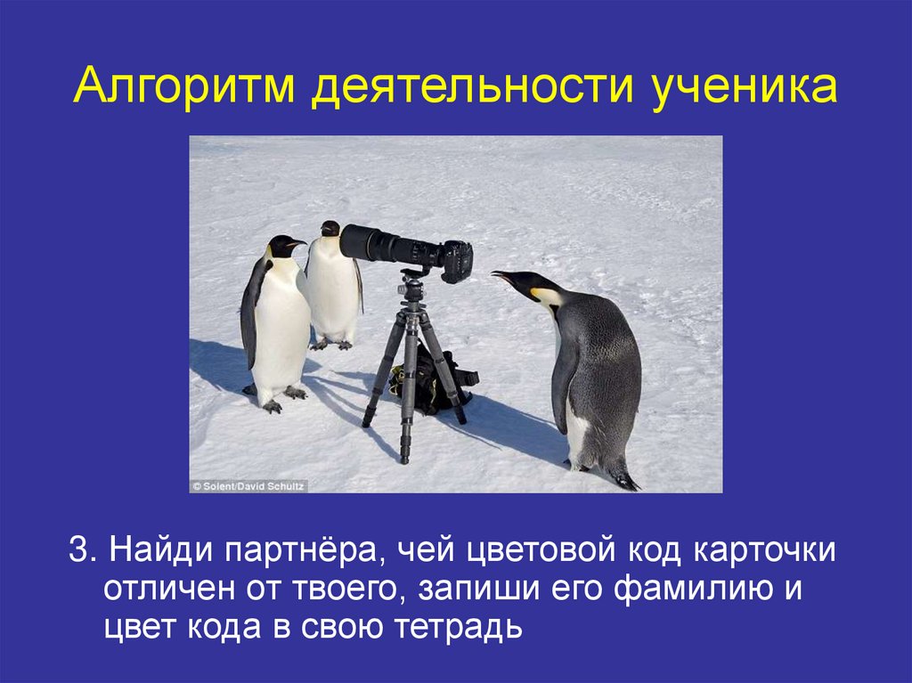 Алгоритм деятельности ученика