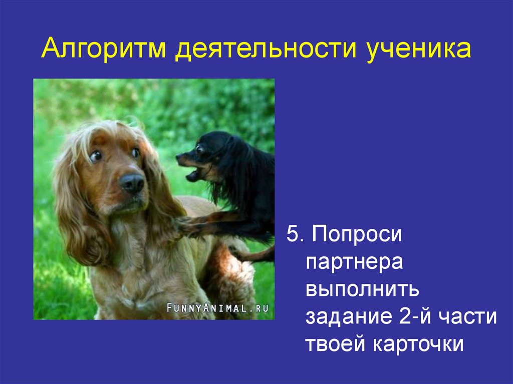 Алгоритм деятельности ученика