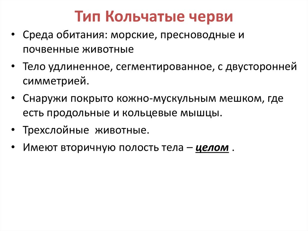 Тип Кольчатые черви