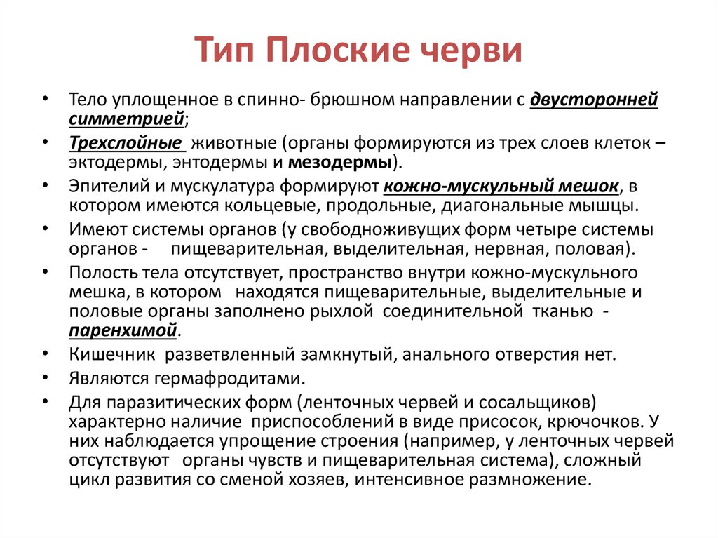 Тип Плоские черви