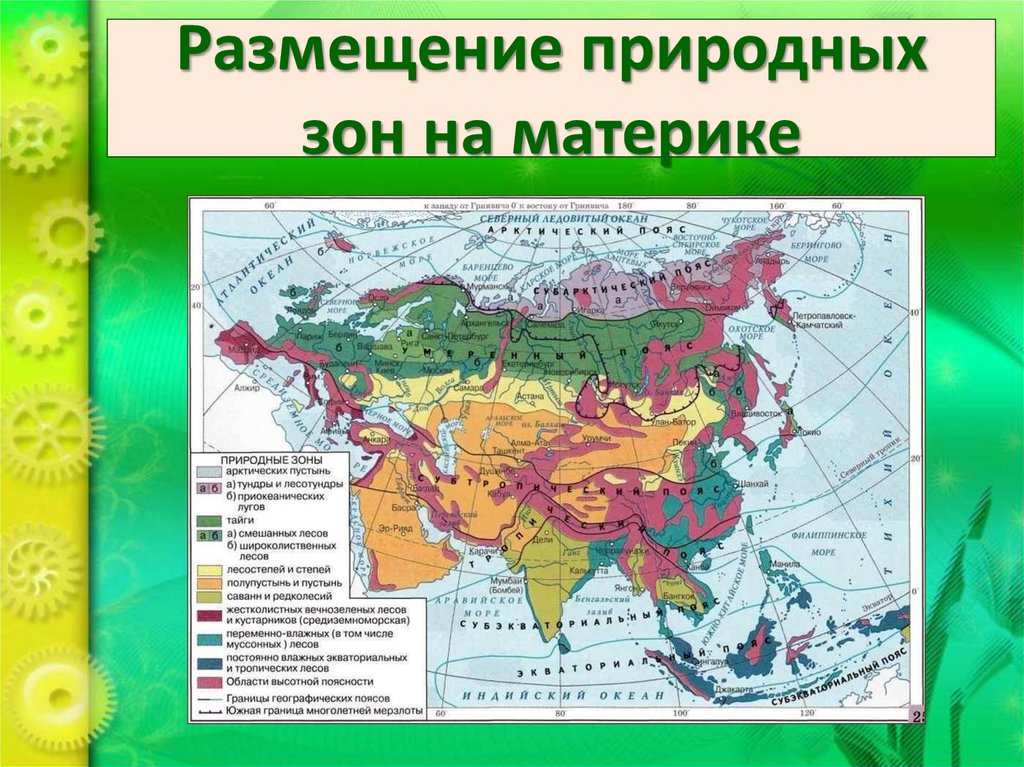 Размещение природных зон на материке