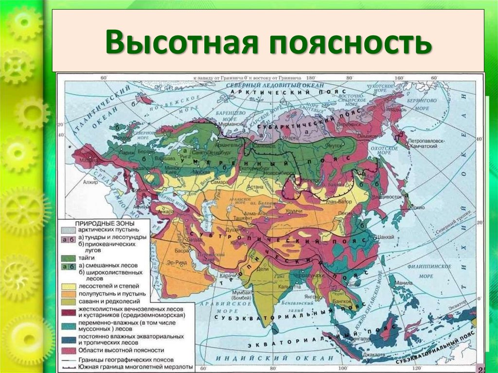 Высотная поясность