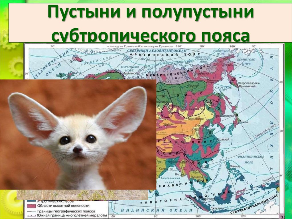 Пустыни и полупустыни субтропического пояса
