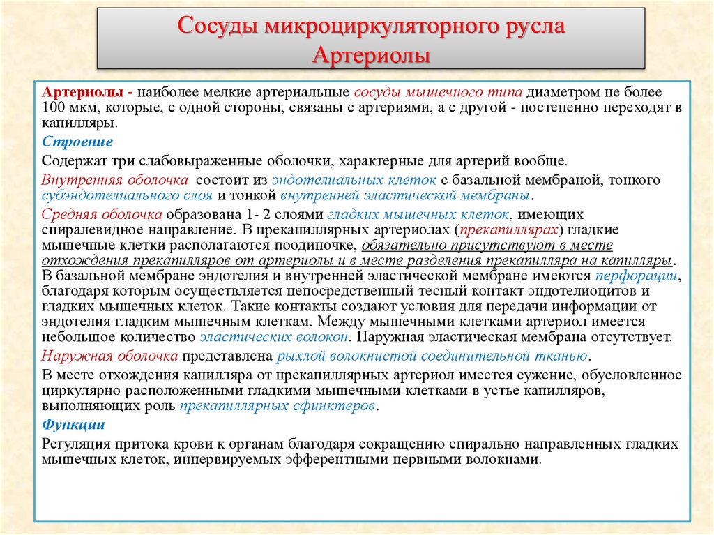 Сосуды микроциркуляторного русла Артериолы