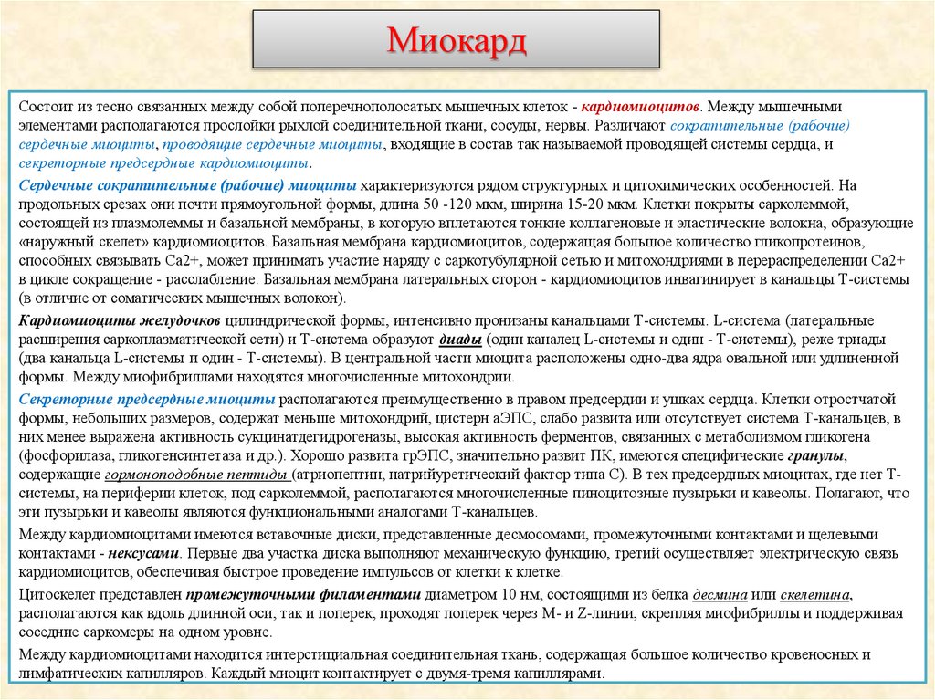 Миокард