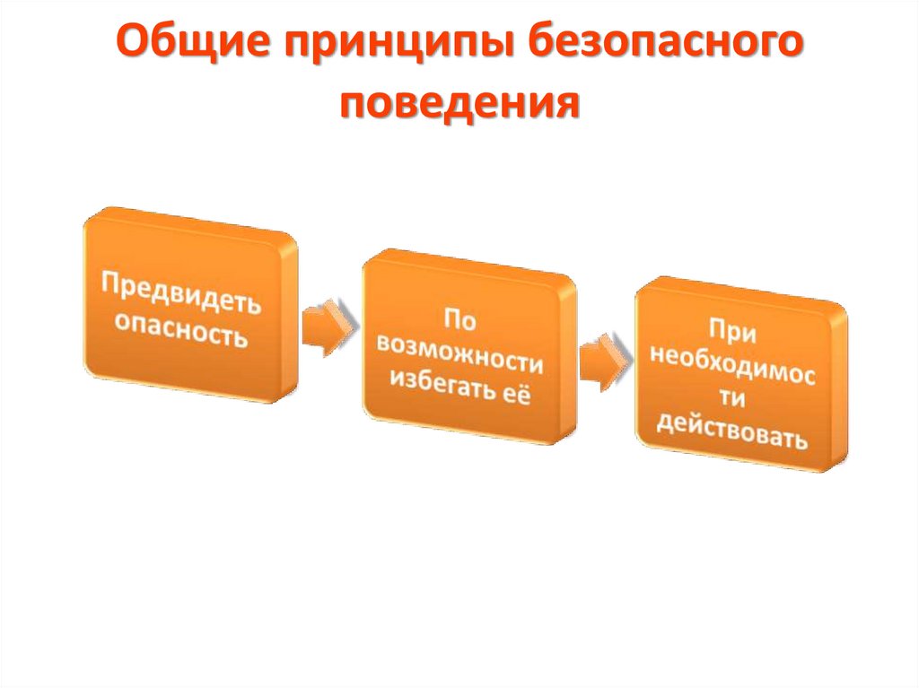 Общие принципы безопасного поведения