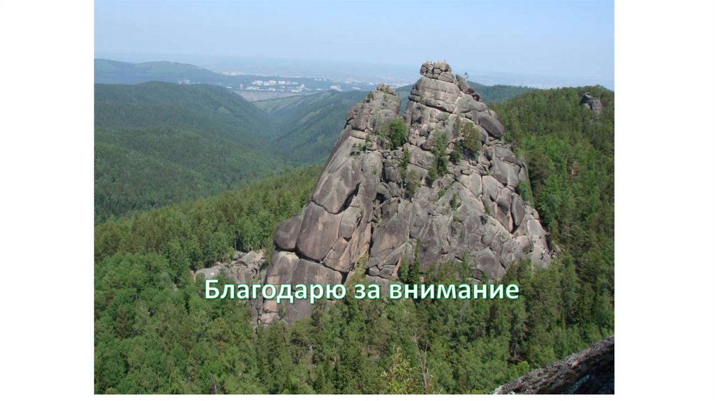 Благодарю за внимание