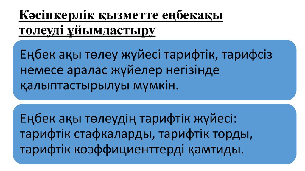 Кәсіпкерлік қызметте еңбекақы төлеуді ұйымдастыру