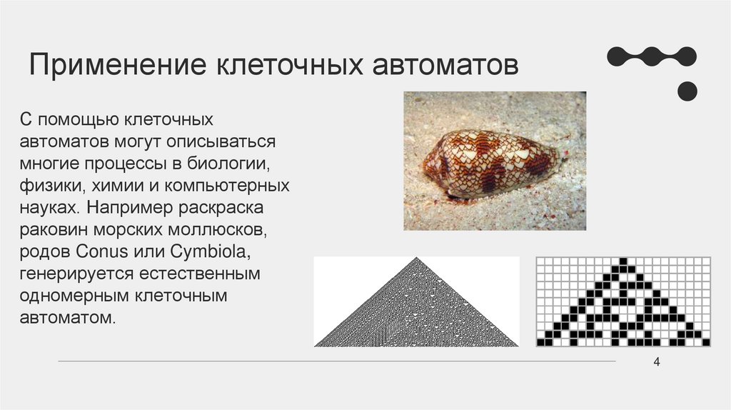 С помощью клеточных автоматов могут описываться многие процессы в биологии, физики, химии и компьютерных науках. Например