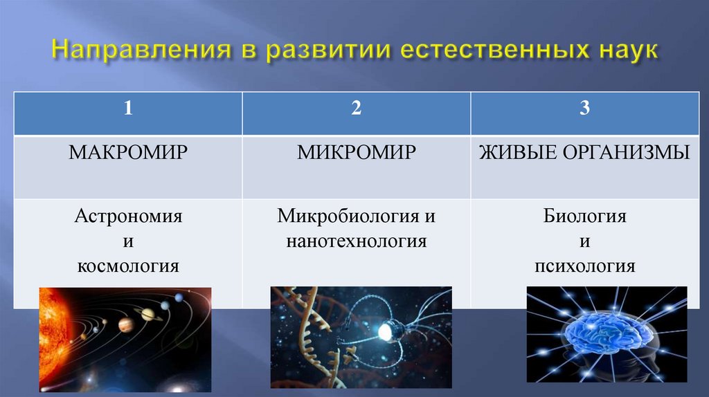 Направления в развитии естественных наук