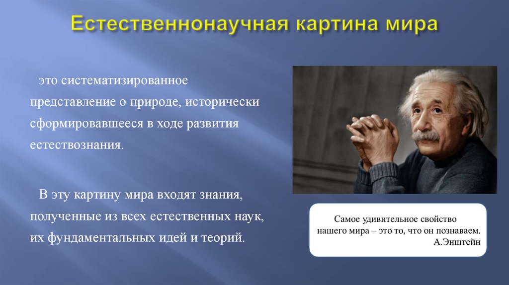 Естественнонаучная картина мира