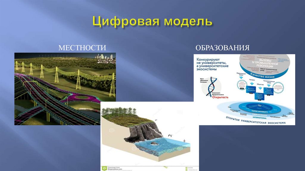 Цифровая модель