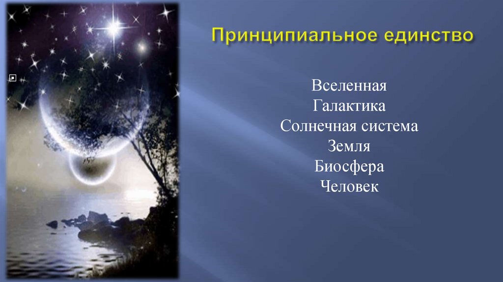 Принципиальное единство