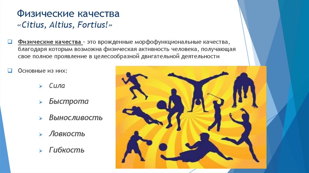 Физические качества «Citius, Altius, Fortius!»