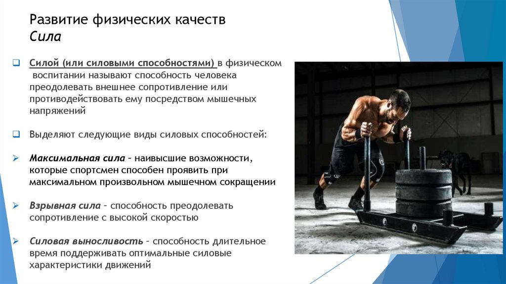 Развитие физических качеств Сила