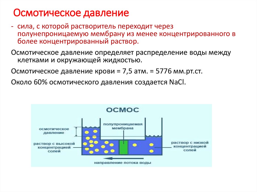 Отличие плазмы и сыворотки крови