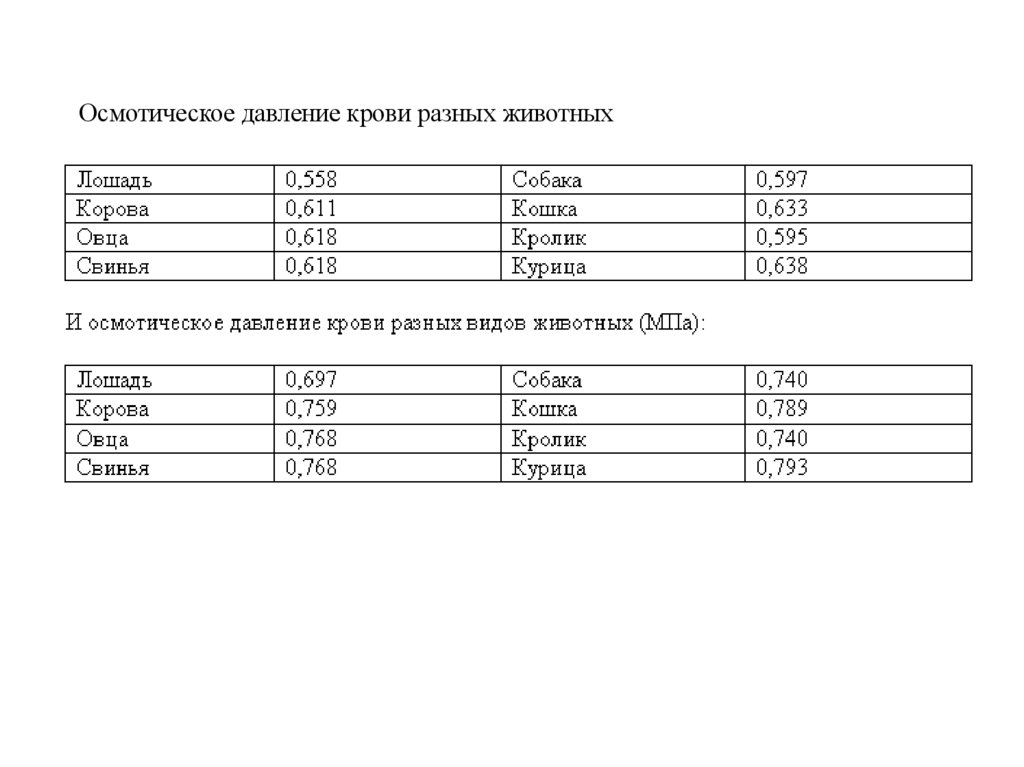 Аминокислоты