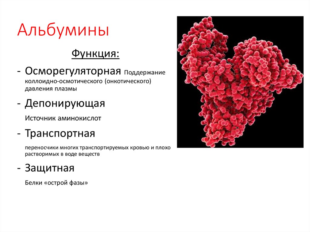 Липопротеины
