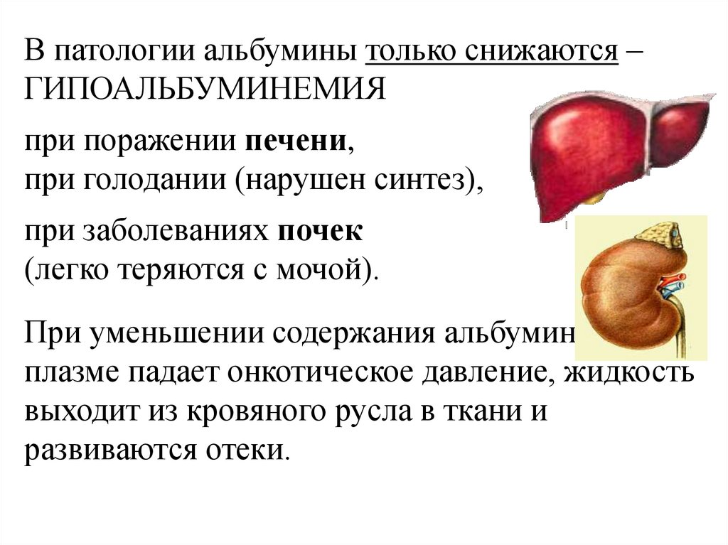 Липопротеины