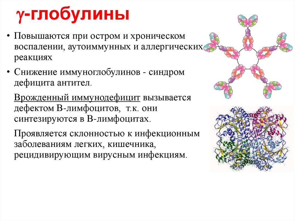 Гиперхиломикронемия, гипертриглицеронемия