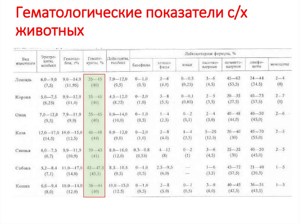 Содержание белков в плазме крови животных