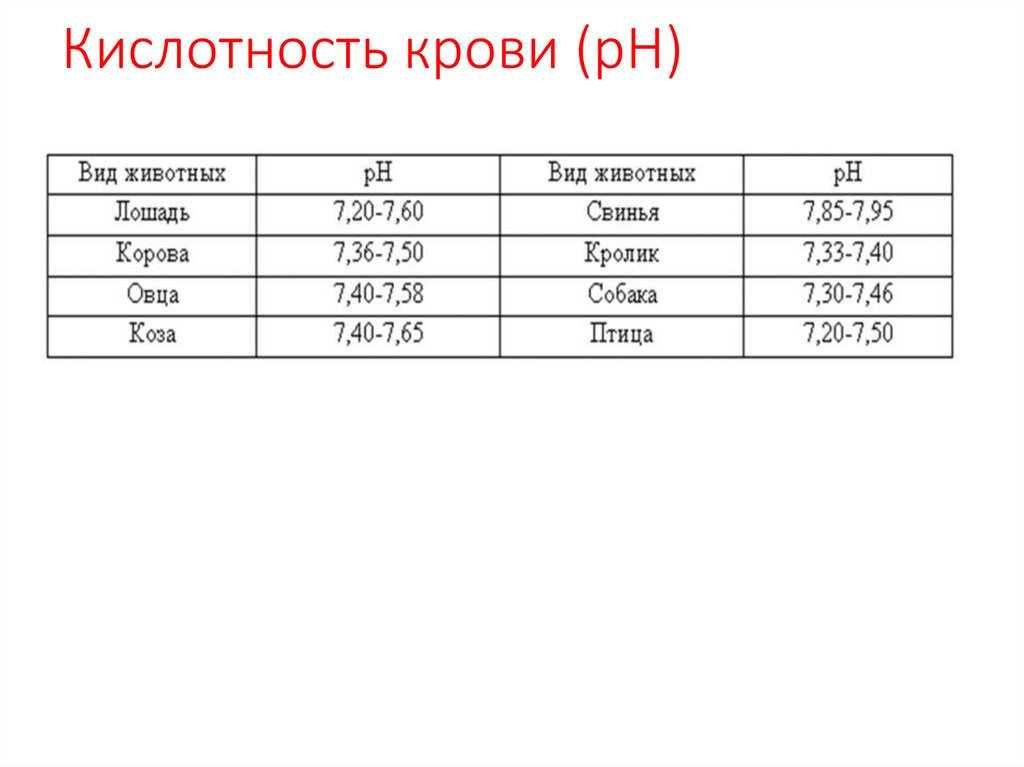 В сыворотке крови при электрофорезе на бумаге выделено 5 фракций белков: