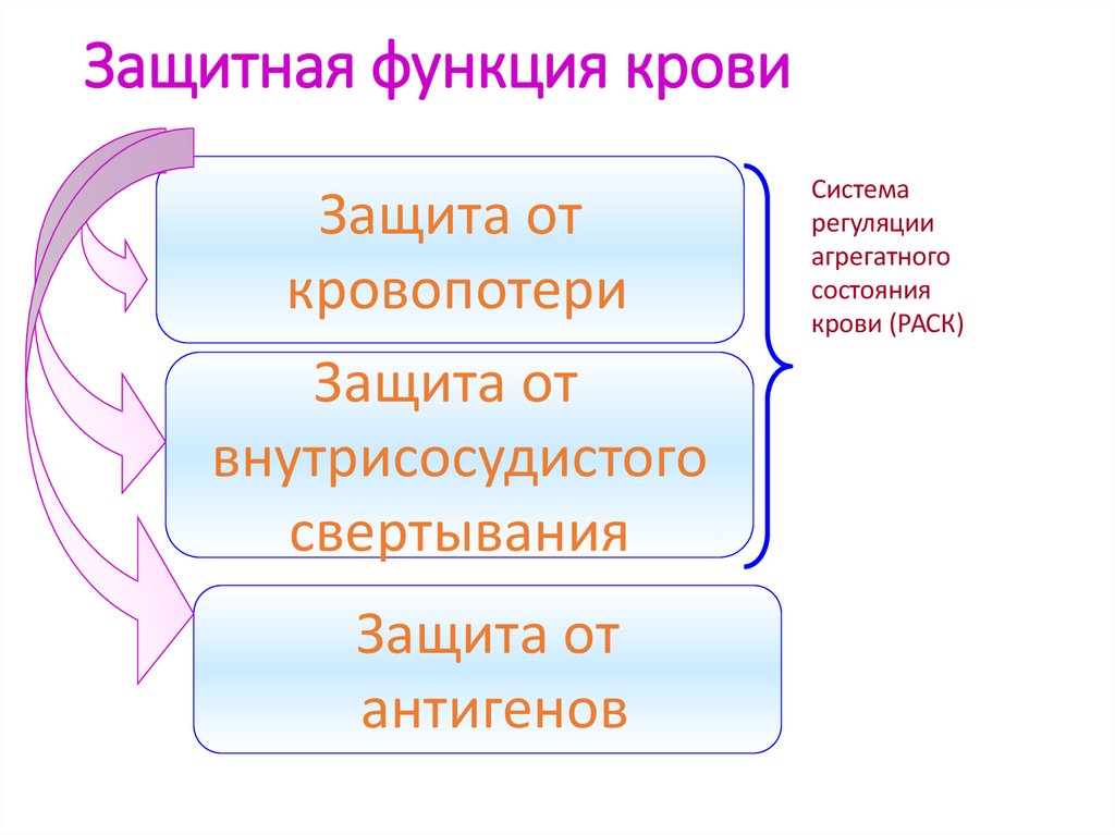 Функции крови