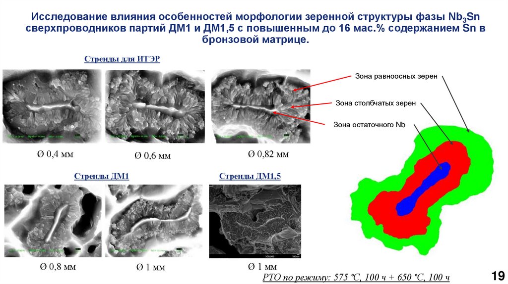 Исследование влияния особенностей морфологии зеренной структуры фазы Nb3Sn сверхпроводников партий ДМ1 и ДМ1,5 с повышенным до