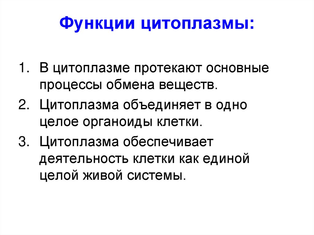 Функции цитоплазмы: