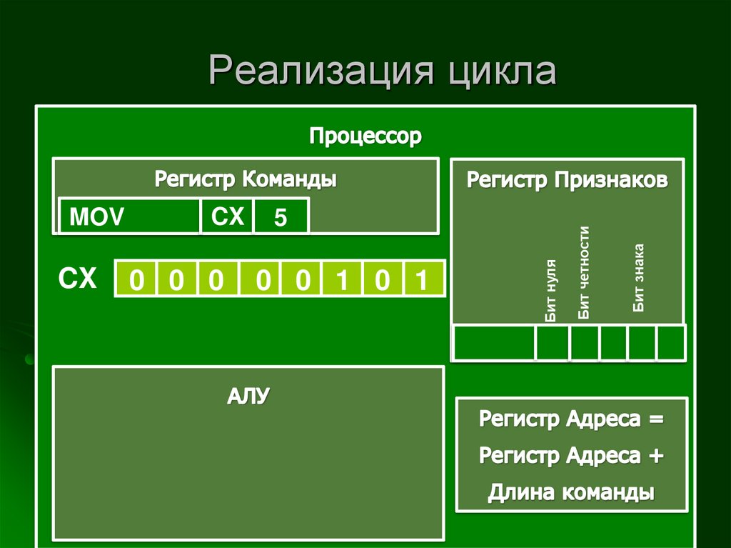 Команды ветвления управления