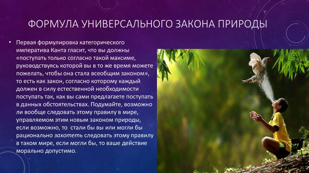 Формула универсального закона природы