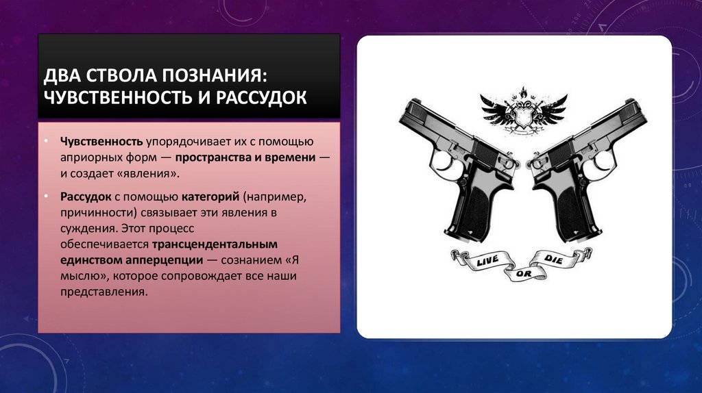 Два ствола познания: Чувственность и Рассудок