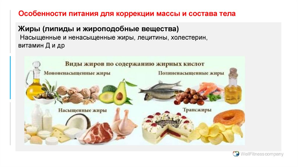 Особенности питания для коррекции массы и состава тела