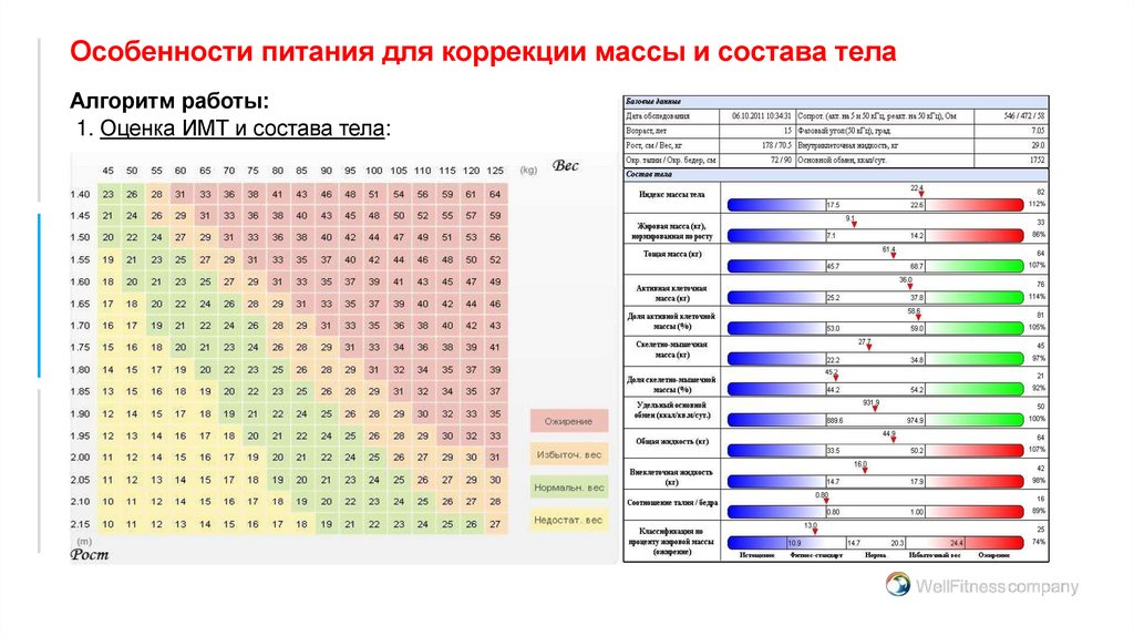 Особенности питания для коррекции массы и состава тела