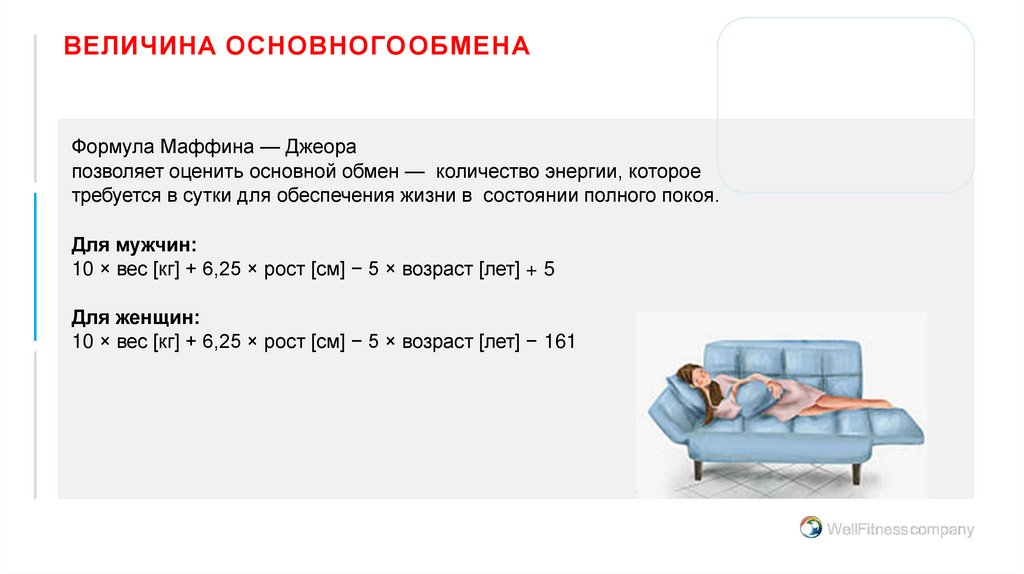 ВЕЛИЧИНА ОСНОВНОГО ОБМЕНА