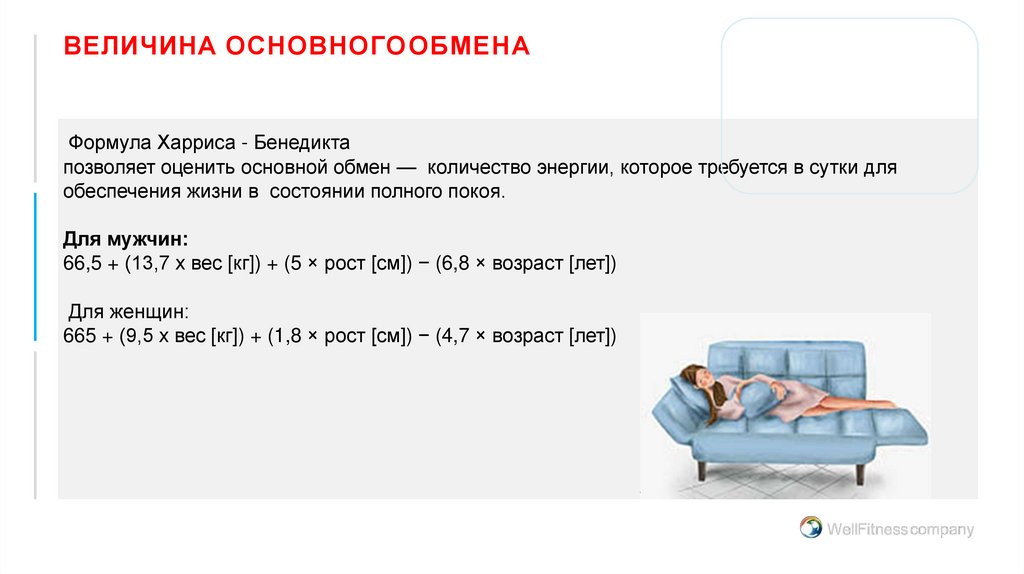 ВЕЛИЧИНА ОСНОВНОГО ОБМЕНА