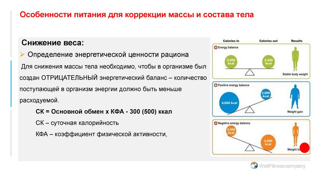 Особенности питания для коррекции массы и состава тела
