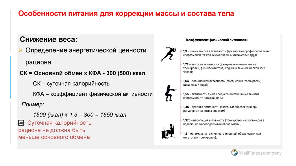 Особенности питания для коррекции массы и состава тела
