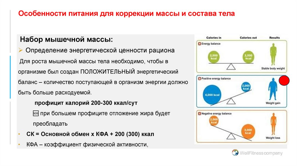 Особенности питания для коррекции массы и состава тела