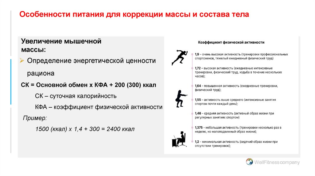 Особенности питания для коррекции массы и состава тела