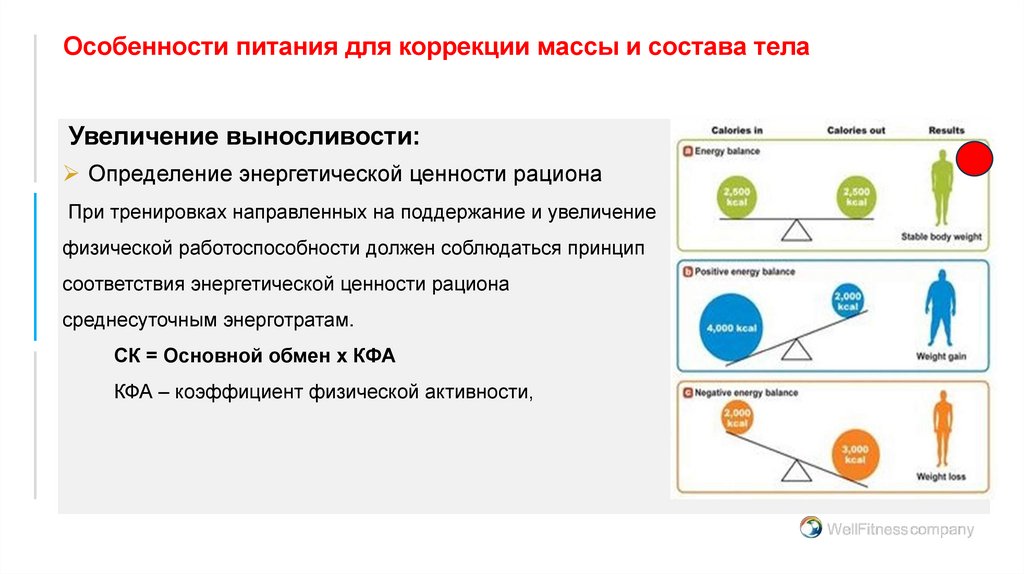 Особенности питания для коррекции массы и состава тела