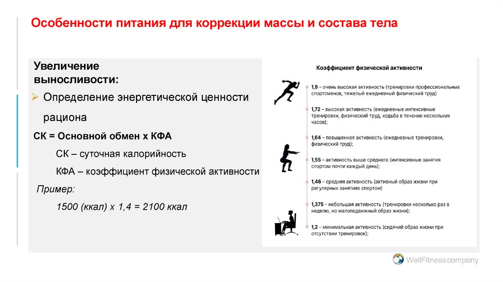 Особенности питания для коррекции массы и состава тела