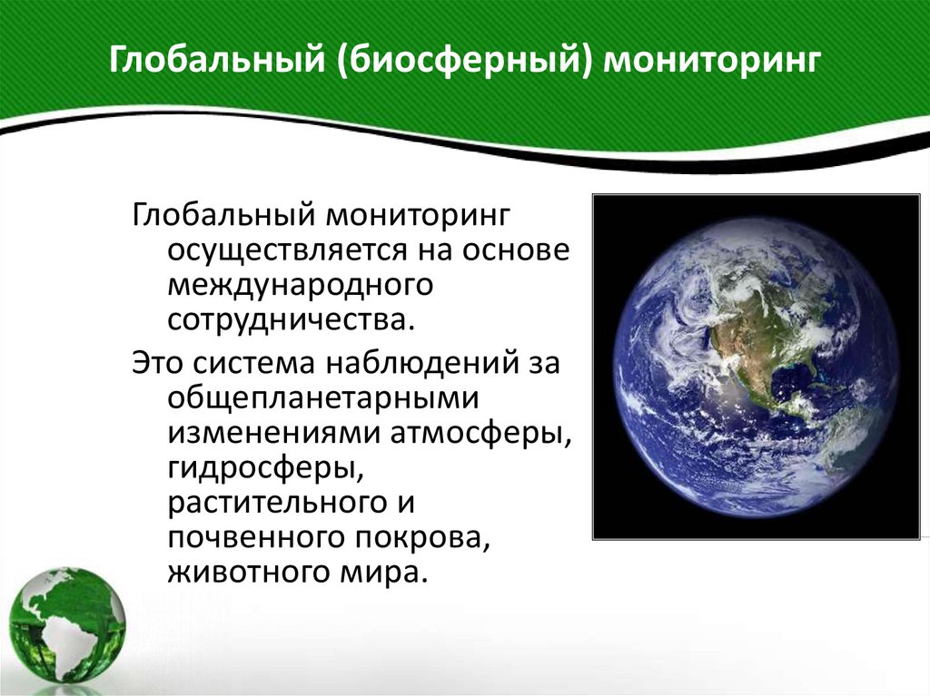 Глобальный (биосферный) мониторинг