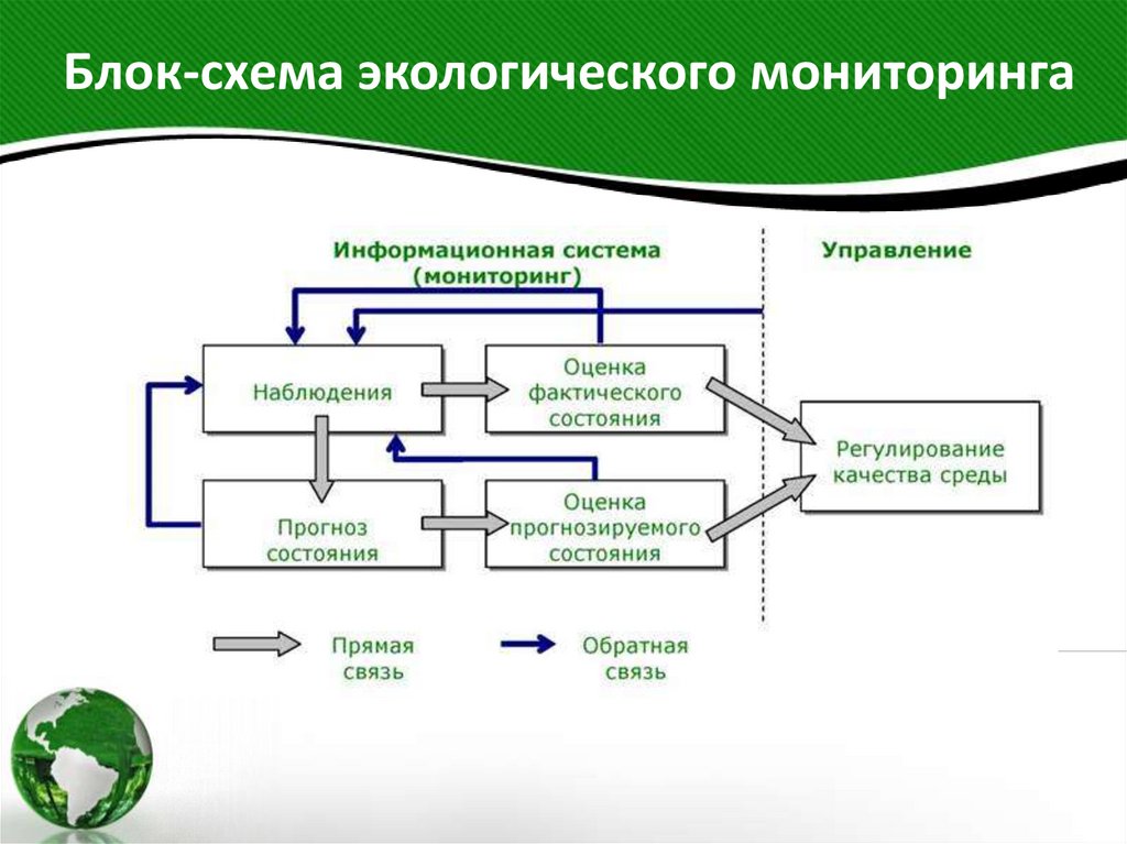 Блок-схема экологического мониторинга