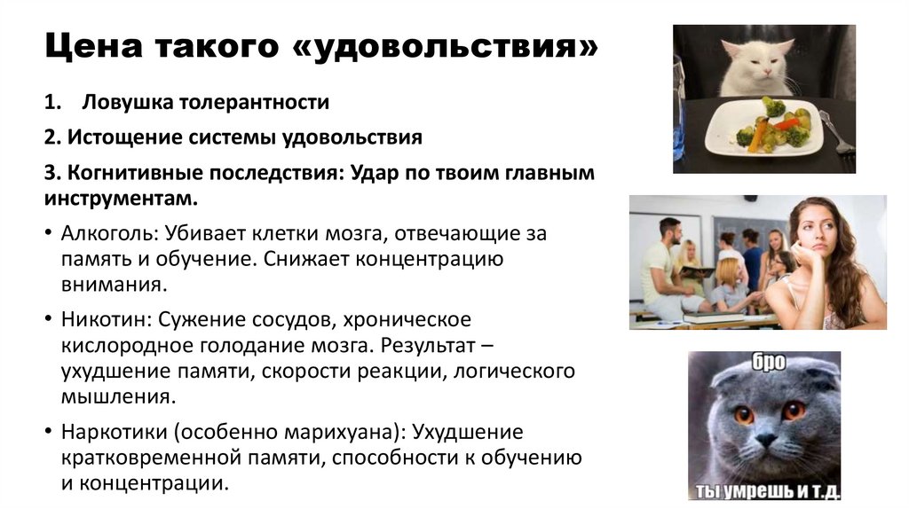 Цена такого «удовольствия»