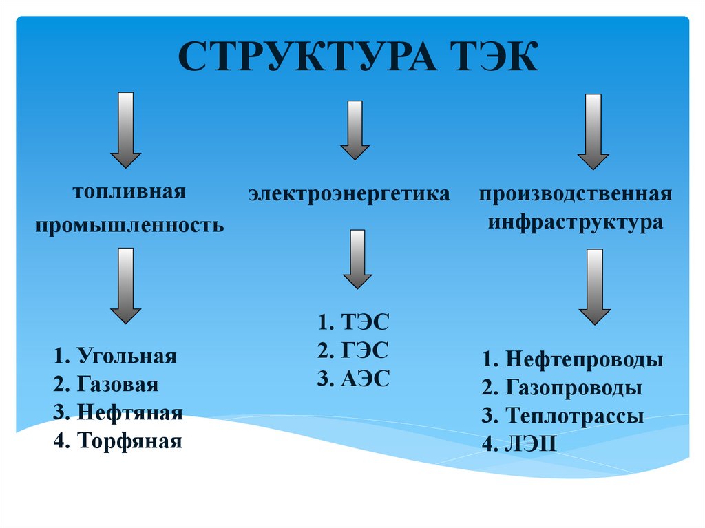 СТРУКТУРА ТЭК