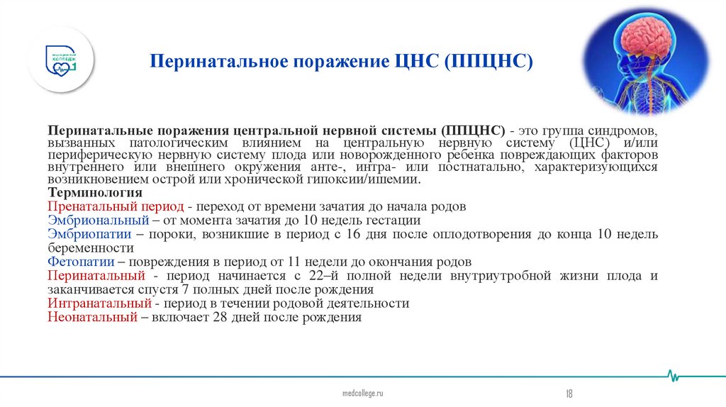 Перинатальное поражение ЦНС (ППЦНС)