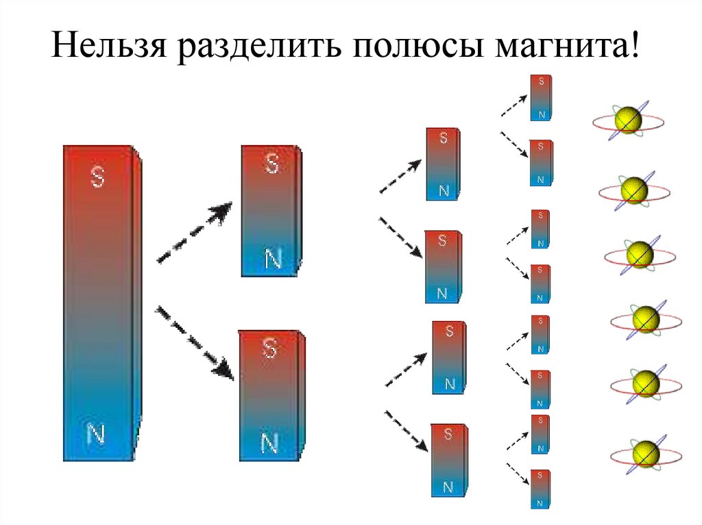 Нельзя разделить полюсы магнита!