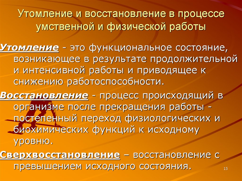 Утомление и восстановление в процессе умственной и физической работы
